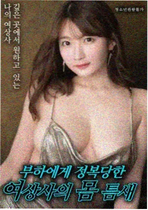 飞行嘉宾阶段性加入介绍